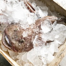통영 손질 토막 아귀 1kg (급냉) 구매시 찜소스 증정, 손질아귀(생물)1kg+찜소스증정