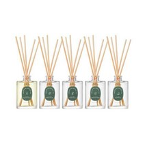 라운드어라운드 포레스트 디퓨저 100ML 5종, 편백던, 1개