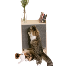 원목 나무 고양이 키우는 키우기 집쇼파 집소파 좋아하는것 캣타워 카페트 카펫 스크래쳐 스크래처 선반 2층집, 포캣(브라운)