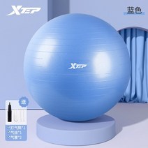 붕어 운동 기구 짐볼 의자 필라테스 보수 운동 기구, 아쿠아 블루 소재 업그레이드 안전 방폭 공기 전달, 75cm신장 165-175cm