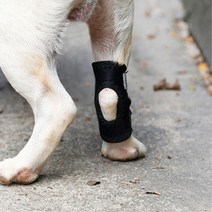 애견 무릎아대 관절보호대 1p(S) 슬개골 애견아대 다리아플때 슬개골탈구예방 다리보호대 펫보호대 펫아대, S