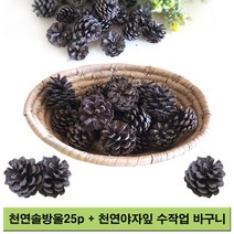 국산 자연 솔방울 천연가습기 인테리어 장식용 학습용