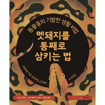 멧돼지를 통째로 삼키는 법 : 동물들의 기발한 생활 비법, 시공주니어, 네버랜드 지식 그림책