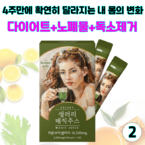 샐러리매직주스 디톡스 클렌즈주스 몸속노폐물 독소제거 해독주스 체중 피부 건강 관리 단기 다이어트, 35g, 2개