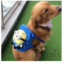 대형견 강아지 가방 미니언즈 설리 배낭, L (10kg~48kg)개, 업그레이드된 노란색 웃음