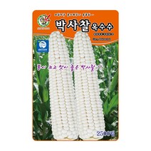 오스템 옥수수씨앗 박사찰옥수수 2500립