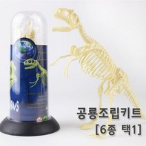 공룡뼈 화석 모형 조립 피규어 장식품 실습 교구 창의 관찰 초등 실험 과학 수업 연구, 티라노사우루스