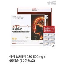 브레인파워 1080 500mg 60캡슐