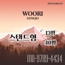 캐리어 스탠드 에어컨 매장용 인버터 시스템 에어컨 18평 냉난방기 (DSQE181SAWWSD), CPV-Q187SB
