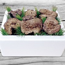 국내산(냉동) 능이버섯 1kg
