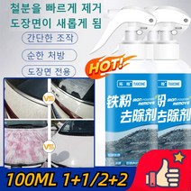 1+1 자동차 철분제거제 도장면 차량용철분제거제 중성철분녹제거제 자동차 철분제거제 대용량, 100ml*10
