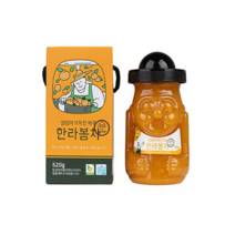 제주 차선물세트 설렘이가득한 한라봉 천혜향 레드향 황금향 풋귤 오미자 백년초 댕유자 하귤, 제주 액상차 520g, 한라봉차