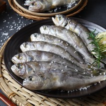 법성포 영광 굴비 1.6kg 40마리 15cm내외 엮걸이굴비