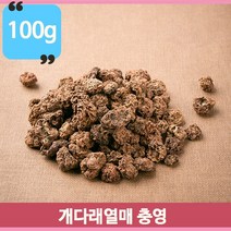 울퉁불퉁 영양덩어리 개다래열매 건조개다래 100g 약초 건강차 충영 수입산