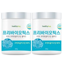 헬씨허그 프리바이오틱스 FOS 프락토올리고당 유산균먹이 치커리추출물 300g, 2개