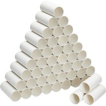 White 48 Pack Cardboard Tubes for Crafts Empty Toilet Paper Rolls for Classroom DIY Projects (1.6, 1