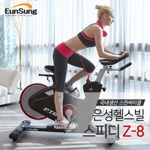 [은성헬스빌] 스핀싸이클 스피디 Z-8/국내생산, 상세 설명 참조, 상세 설명 참조