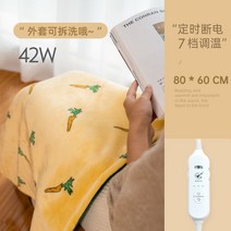 캠핑용 전기요 전기담요 온열매트 차박용 캠핑 장판 탄소 1인용, 당근80x60(7단탈부착가능)
