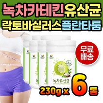 녹차 카테킨 유산균 가루 파우더 김치유산균 장건강 유익균 50대 60대 키즈 유아용 식이섬유 성인간식 어르신간식 람노서스 비피덤 쉐이크 파우더 한끼 아침 점심 저녁 효능 그린티