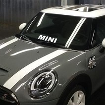 미니쿠퍼 자동차 MINI 포인트 차량용 스티커, MINI-M, 그레이, 1개