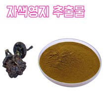 영지 버섯 자샛 영지버섯 분말 영지버섯 가루 영지버섯 추출물 농축 한방 차 건강분말, 20:1, 1봉, 200g