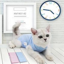 고양이 수술복 반려동물 환부복 애완 신축 통기성 중성화 환묘 옷, Lㅡ블루