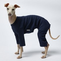 럭키페터 스탠다드 강아지 올인원 무지 소형견 대형견 파자마, 네이비