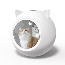 펫드라이룸 애완 동물 고양이 개 헤어 드라이어 200w500w 자동 애완 동물 건조 상자 largeamp 작은 강아지 헤어 드라이어 uv 살균 개 손질 장비, 500w