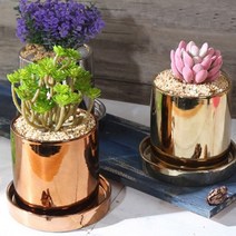 호쿠호니 도자기 화분 원형 골드 메탈 인테리어 물빠짐 세라믹 안방