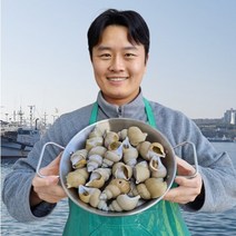 [선주직송]활 백 골뱅이 백고동 자연산 구룡포 동해 백고동 포항 소 중 대 특대 1kg, 백고동 대 1kg 10-19미내외