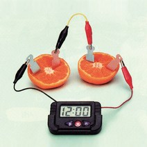 과일전지세트(전자시계)-DCX0960