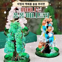 물주면 자라는 매직 크리스마스 퐁퐁 트리 1+1 선물 미니 피어나는 종이나무 장식 장난감, 채색+채색
