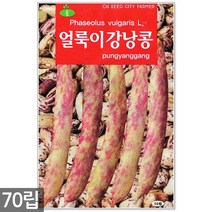 서리태 씨앗 30g - 콩 씨 청약콩 검은콩 쥐눈이콩 서리태씨앗 콩 검정콩씨앗 검은콩씨앗 콩씨앗 서리태씨 검은콩씨 주말농장 텃밭, 15_얼룩이강낭콩(70립)