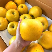 냥냥이네 시나노골드 가정용 소꼬마과 29-33과 5kg 홍로사과 부사 청송사과 아리수사과 꿀사과 홍옥사과, 1, 본상품선택
