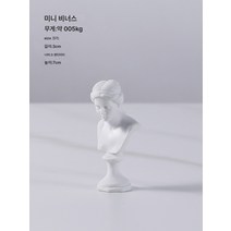 북유럽 문예의 빈티지 스케치 소두상 장식 미니 수지 석고상 장식 모델 하우스 장식, 미니 금성