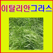 (LT)조경용씨앗 양잔디씨앗(이탈리안라이그라스) 20Kg