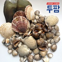 두팜 모듬조개 가족세트 4kg내외 3~4인분 내외, 가족세트 4kg, 1세트