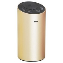 에센셜 오일 디퓨저 자동차 공기 청정기 아로마 워터리스 USB 자동 테라피 Nebulizer 홈 요가에 대한 충전식, champagne gold