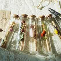 유리병 꽃 편지 시즌2 : 다섯가지꽃 편지지 [100일 결혼 기념일 남자친구 여자친구 생일 선물 이벤트], 말린장미