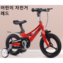 Dream 어린이 멋진 네발자전거 보조바퀴 패션선물 SYKB103, 14인치, 레드