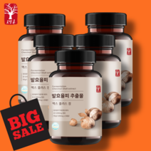 고말론 발효율피 추출물 맥스 플러스 정 1000mg x 60정, 5개 (10개월분)