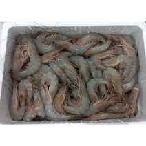 국내산 자연산 대하 제철 깐 대하 왕새우 급냉 1KG 17~25미내외, (급냉)자연산 대하 1KG