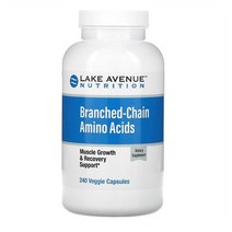 레이크에비뉴 BACC Branched Chain Amino Acids 240정