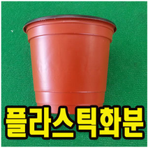 모종포트 식물화분 플라스틱미니컵 210mm 1개 WS007