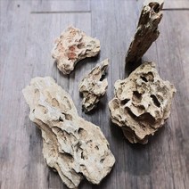 황호석 [1kg] 수초 어항 레이아웃