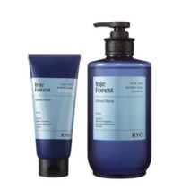 탈모증상전문케어 인제숲길/양양파도 샴푸 585ml+트리트먼트200ml, 인제숲길 샴푸585ml+트리트먼트200ml