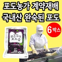 포도농가 계약재배 껍질 씨까지 통째로 착즙 영동 포도즙 6박스