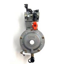 가솔린 발전기 LPG 기화기 2kw 3kw 168F 170F 6.5hp 전기 부품 용 이중 연료
