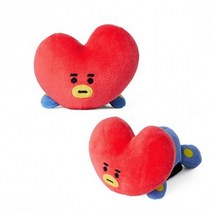 BT21 라잉 마그넷 봉제인형 TATA, 단품, 쿠팡01 본상품선택