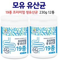 성인 유산균 남성 냉장보관 X 어른유산균 프로바이오톡스 락토바실러스 루테리 가세리 모유 유래 유상균 학생유산균분말, 12통, 230g